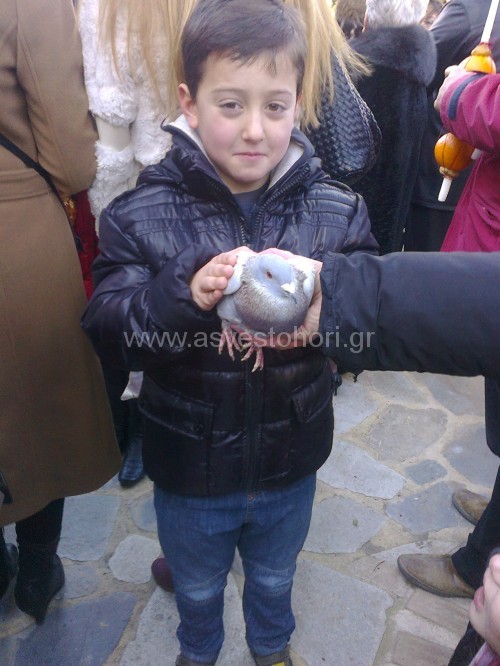 Φωτογραφία0599