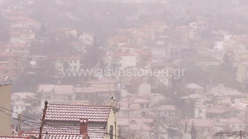 DSC_1885[1]